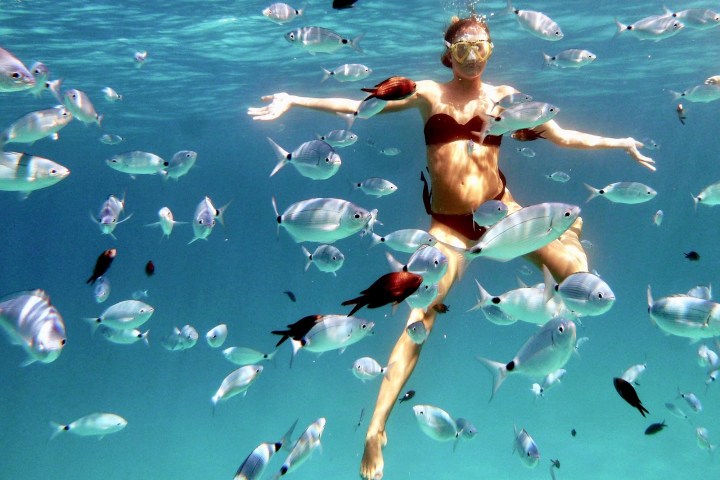 a girl snorkeling