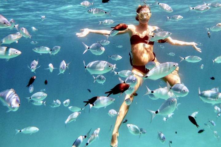 a girl snorkeling