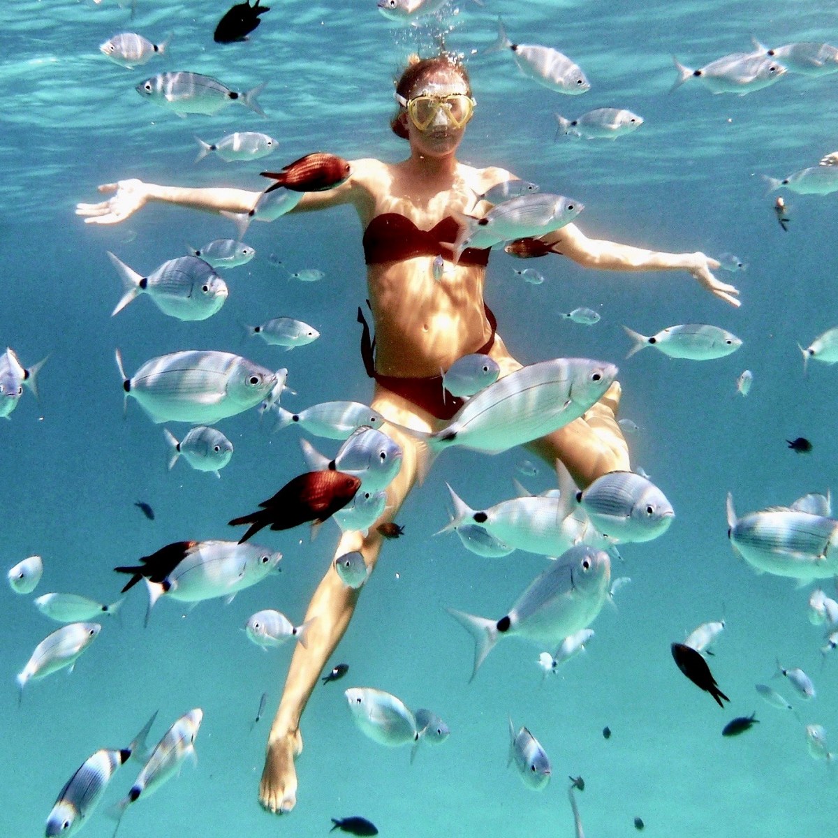 a flock of birds flying over a body of water