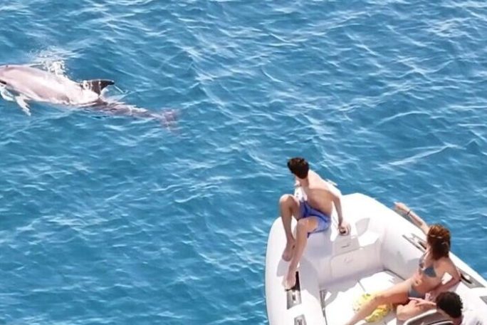 a person swimming in a pool of water