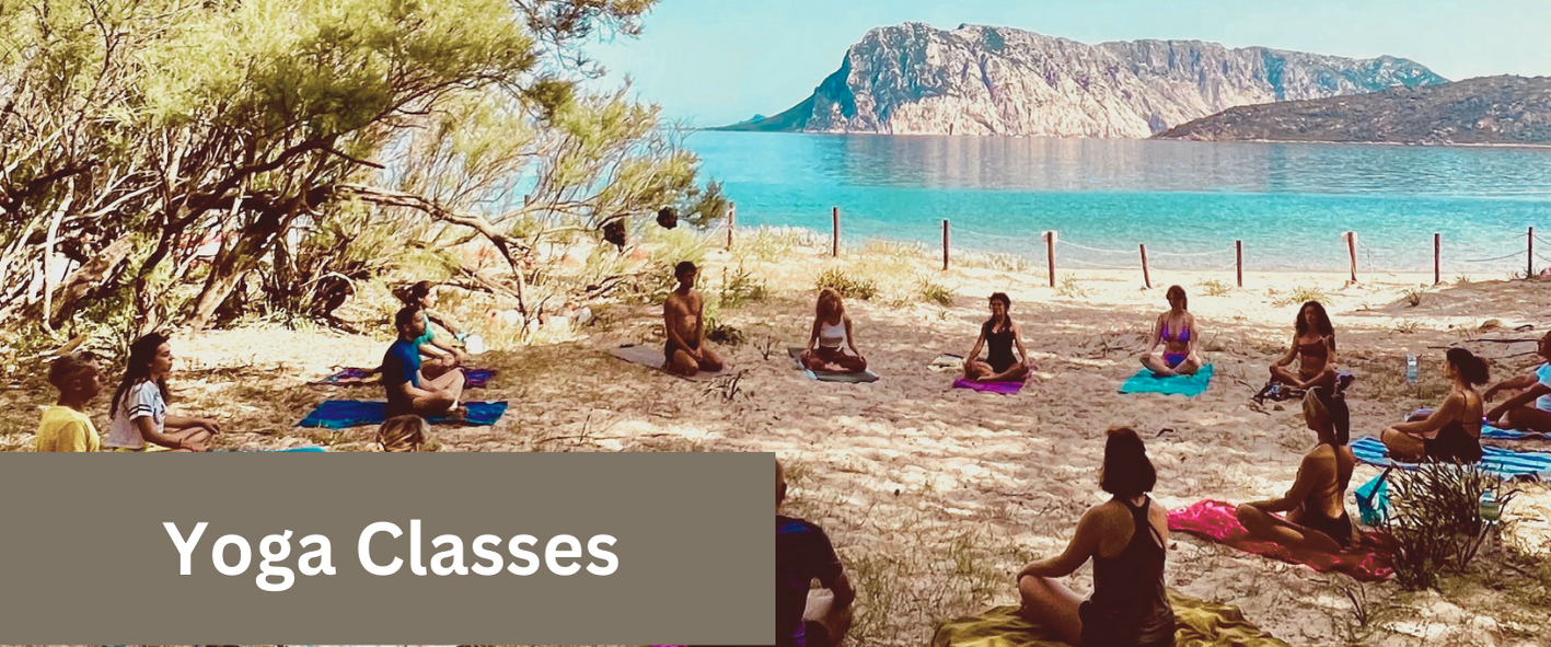 7 a group of people sitting at a beach