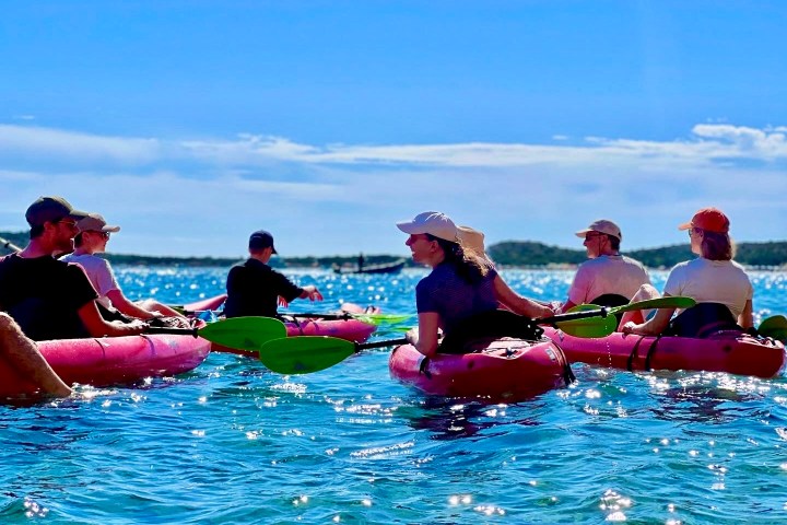 Group kayaking on a sunny day, clear blue water and sky.
