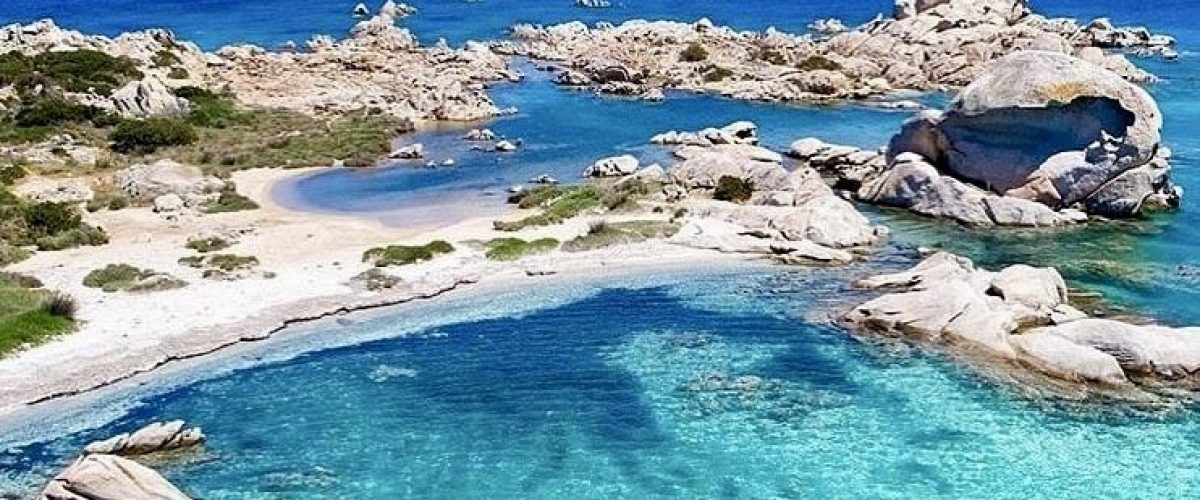 a bird standing on a rocky shore next to a body of water