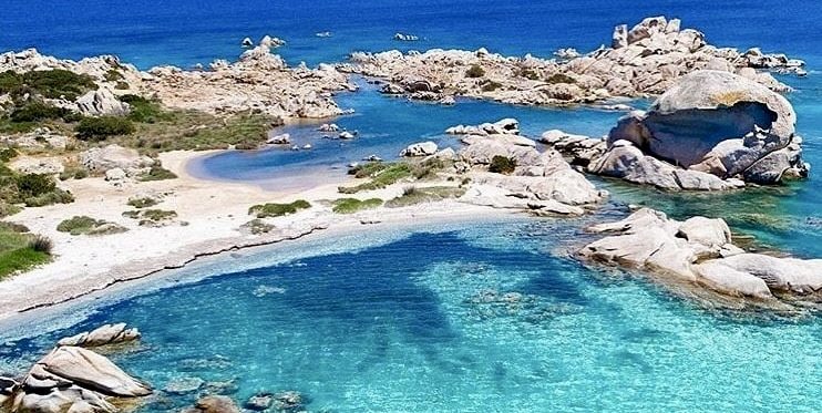a bird standing on a rocky shore next to a body of water