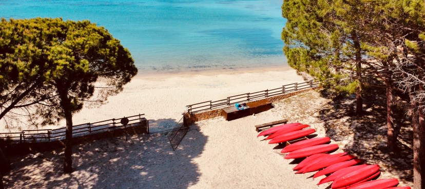 Aerial view of a sandy beach with red kayaks and trees.